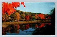 Cook Forest State Park PA-Pennsylvania, Reflected Beauty, Vintage Postcard picture