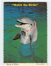 Postcard Watch the Birdie, Squeeky the Dolphin, Florida picture
