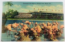 Vintage Miami Florida FL Hialeah Park Flamingos Nests Linen Postcard picture