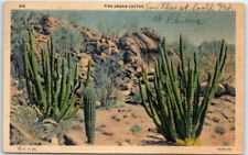 Postcard - Pipe Organ Cactus picture