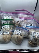 LOT 20+ Pounds Lbs Natural Sea Shells Seashells Crafting Decor Assorted Sizes picture