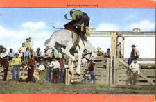 Bronco Busting-Rodeo Kropp Linen Postcard Vintage Post Card picture