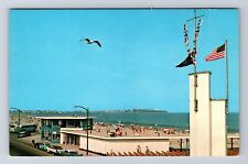 Hampton Beach NH-New Hampshire, Sea Gull, Antique, Vintage Postcard picture