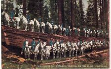 Mariposa US Cavalry Army    1910 CA  picture