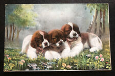 3 beautiful St Bernard puppies￼ Vintage Art Dog Postcard picture
