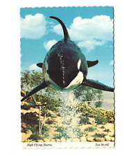 High Flying Shamu Sea World Postcard Unposted 4x6 picture
