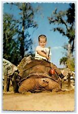 Florida's Silver Springs Huge Galapagos Tortoises Reptile Institute FL Postcard picture