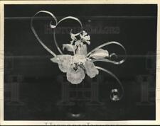 1969 Press Photo A flower arrangement - tub05054 picture