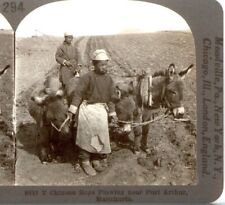 CHINA, Boys Plowing near Port Arthur, Manchuria--Stereoview PR36 picture
