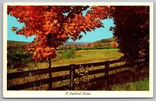 Pastoral Scene Fall Autumn Mountains Fields Fence Curteichcolor Vintage Postcard picture