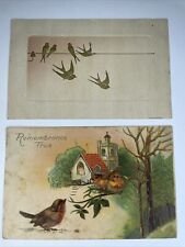 Vintage 1900’s Lot Of 2 Embossed Bird Postcards P3 picture