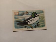Vintage Church & Dwight's Soda Birds Series 4 Card No 24 Golden Eye Duck picture