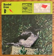 HOODED CROW, 1977 EDITIONS RECONTRE 4 3/4