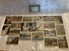 Vintage Souvenir Views Yellowstone National Park 20 Colored Mini Photo Cards picture