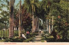 The Royal Palms Panama c1908 Postcard A167 picture
