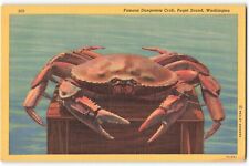 Postcard Famous Dungeness Crab, Puget Sound, Washington VTG VPC01. picture
