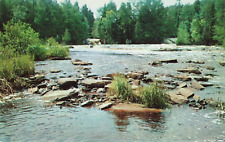 Newberry MI Michigan UP, Lower Falls Tahquamenon River, Vintage Postcard picture