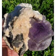 1285g  Rare purple Fluorite with phantoms cubes on white barite picture