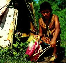 Vintage Postcard Hayward WI Native American Chippewa Indian Boy At Fasting Hut picture