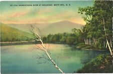 Androscoggin River At Shelburne, White Mountains, New Hampshire Postcard picture
