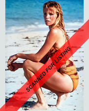 James Bond Girl Kim Basinger in swimsuit 8x10 PHOTO #8906 picture