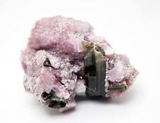 Tourmaline crystals with Lepidolite from Brazil natural large specimen - 236gm picture