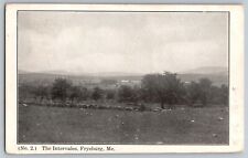 Fryeburg, Maine ME - The Intervales Mountains - Vintage Postcard - Posted picture