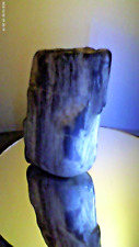 Petrified wood chunk with scorching before play between black gray in Brown's picture