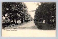 Galt Cambridge Waterloo Canada, Blenheim Tree Lined Road, Vintage Postcard picture