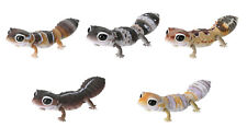 The Diversity of Life on Earth African Fat-Tailed Gecko Bandai Toys set of 5 picture