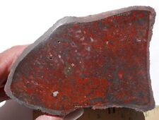 Gem Dinosaur Bone, blood red, solid, dome polished window, 2.4 lb.  picture