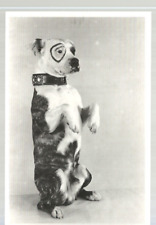 Movie Chaeacter Postcard RPPC Our Gang's Pete The Pup EX picture