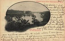 1905 WISCONSIN PHOTO POSTCARD: VIEW OF FOX RIVER, GREETINGS FROM KAUKAUNA, WI picture