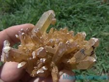 LARGE HIGH END DISPLAY___OPTICAL CLEAR Arkansas Quartz Crystal Cluster  picture