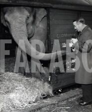 Vintage Press Photo France, Elephant Of Circus Barnum, 1963, print picture
