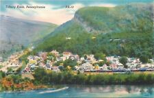 Tilbury Knob Pennsylvania~Birds Eye View~1940s Postcard picture