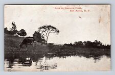 East Aurora NY- New York, Scene On Cazenovia Creek, Antique, Vintage Postcard picture