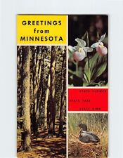 Postcard State Flower State Tree State Bird Greetings from Minnesota USA picture