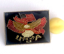 Vtg Don't Mess With The USA Eagle Pin Super Cool , Used  picture