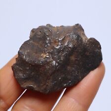 82g Gebel Kamil Meteorite,Egypt,Iron Meteorite,collection,Space Gift N3998 picture