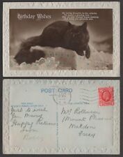 1935 Cat Postcard – Birthday Wishes – Real Photo picture