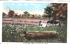 Leetonia OH A 1923 Floral Pastural Greetings from Leetonia picture