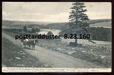 HUNTER RIVER PEI Postcard 1907 North Shore Road View Horse Carriage picture