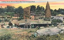 Postcard Looking Across African Plains New York Zoological Park picture