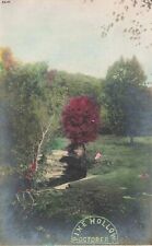 Pine Hollow WI, October Scenery Hand Colored, Vintage RPPC Real Photo Postcard picture