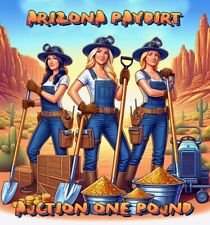 Auction Arizona Paydirt One Pound picture