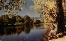Reno Nevada Truckee River fall foliage 1950s Wesco Mike Roberts vintage postcard picture