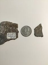 Two Pieces Petrified Dinosaur Bone  picture
