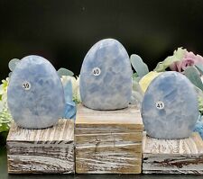 Natural Celestite Free Forms Beautiful baby blues  & Gift picture