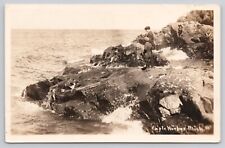 Eagle Harbor, Michigan Keweenaw Peninsula on Lake Superior RPPC Antique Postcard picture